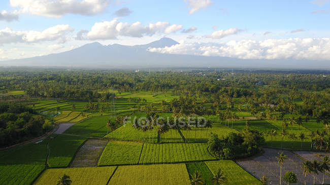 Vista panorámica del monte Rinjani y el paisaje rural, Lombok, Indonesia - foto de stock
