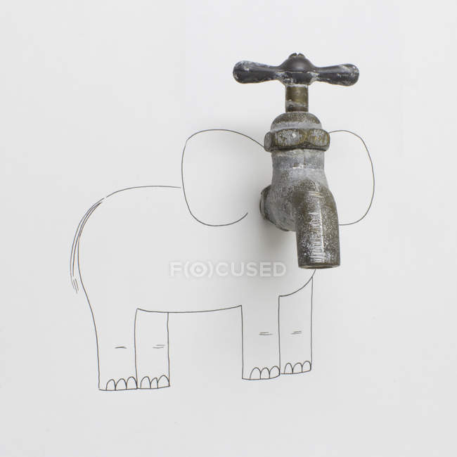 Концептуальний слон малюнок на крані, білий фон — стокове фото