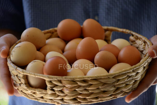 Femme tenant un panier avec des œufs — Photo de stock