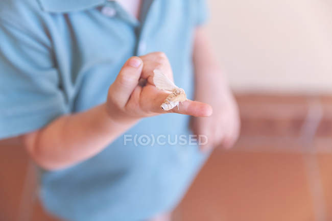 Junge mit einem Seidenraupenschmetterling am Finger, abgeschnitten — Stockfoto