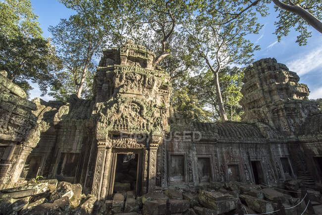Ta Prohm temple, Angkor Wat, Siem Reap, Camboja — Fotografia de Stock