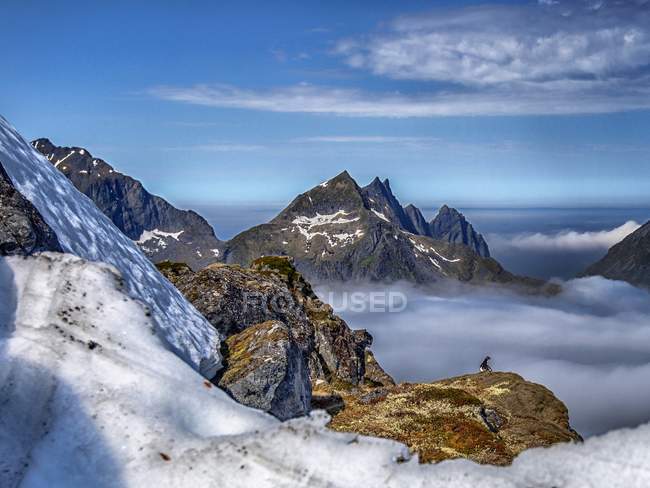 Vue panoramique du Tétras assis dans le paysage montagneux, Lofoten, Flakstad, Nordland, Norvège — Photo de stock