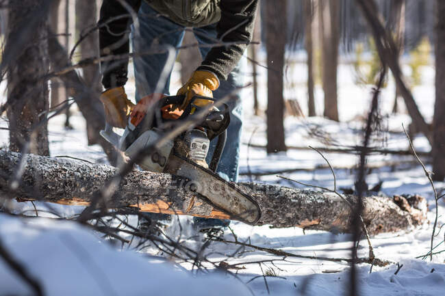 Homme coupant du bois de chauffage avec tronçonneuse en hiver — Photo de stock
