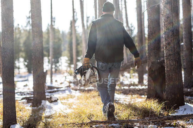 Uomo a piedi attraverso la foresta con motosega in inverno — Foto stock