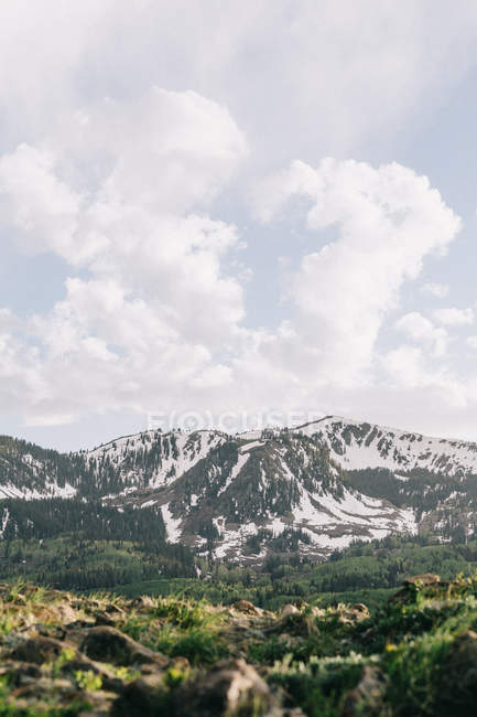 Живописный вид на горы Васатч, Юта, Америка, США — стоковое фото