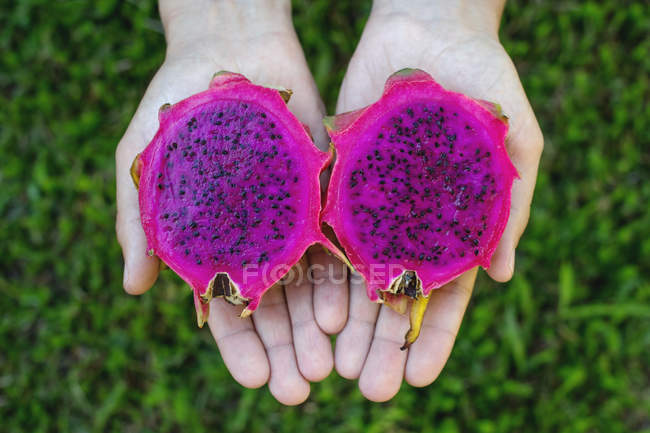 Woman holding dragon fruit in her hands — Stock Photo