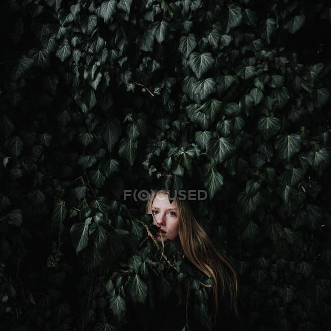 Mulher escondida em um arbusto de hera — Fotografia de Stock