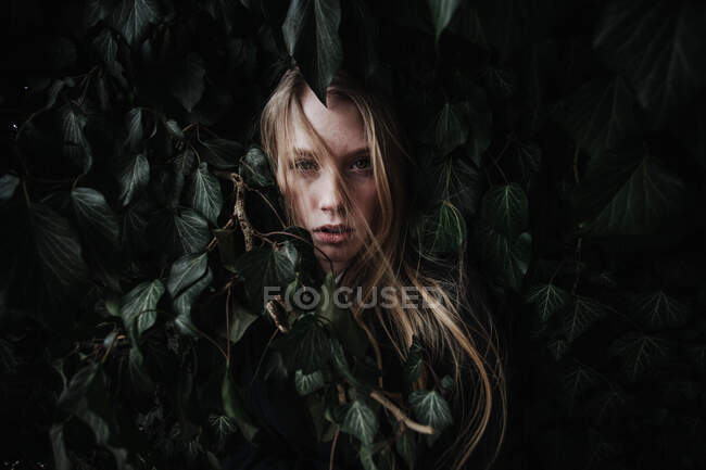 Mujer escondida en un arbusto de hiedra - foto de stock
