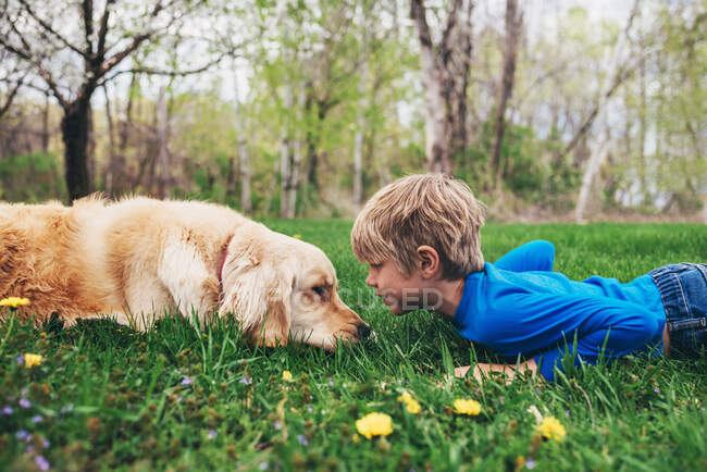 Menino e seu cão golden retriever deitado na grama olhando um para o outro — Fotografia de Stock