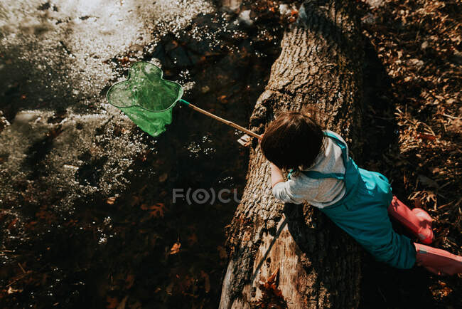 Girl by a pond collecting water bugs — Stock Photo