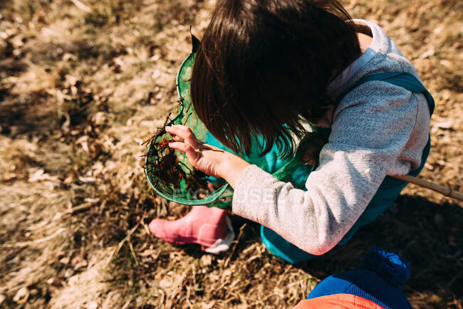Дівчина дивиться на водяних жуків у рибальській сітці — стокове фото