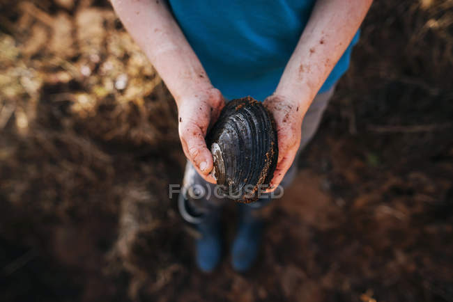 Boy on the beach holding a clam, closeup view — Stock Photo