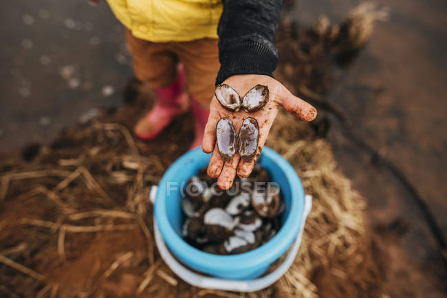 Junge am Strand sammelt Muscheln — Stockfoto