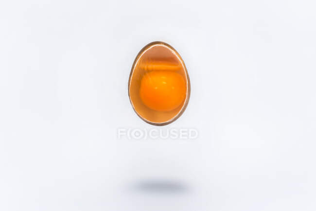 Cross section of an egg — Stock Photo