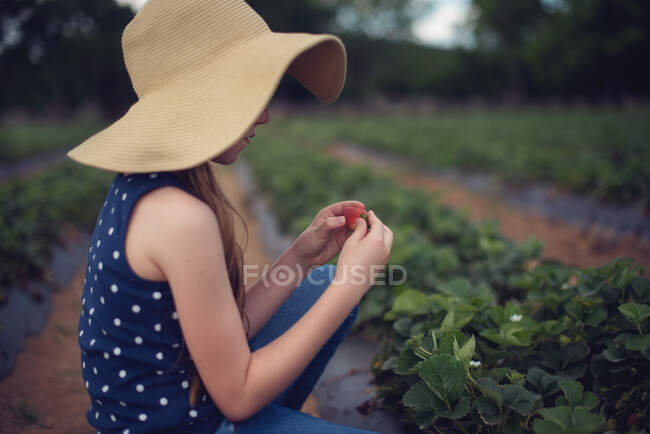 Mädchen sitzt auf einem Feld und pflückt Erdbeeren — Stockfoto