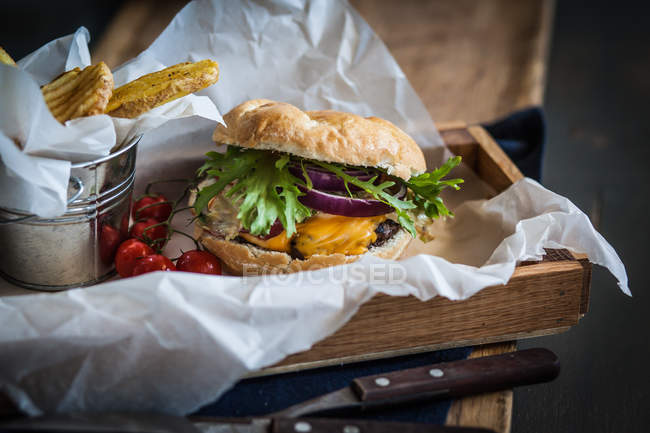 Cheeseburger gastronomique aux frites de pommes de terre enveloppées dans du papier — Photo de stock