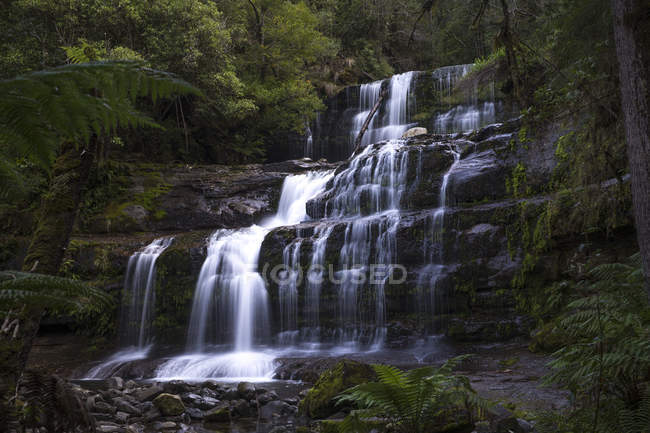 Vue panoramique sur la cascade dans un parc national, Tasmanie, Australie — Photo de stock