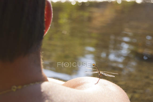 Libelle auf einer Männerschulter, Rückansicht — Stockfoto