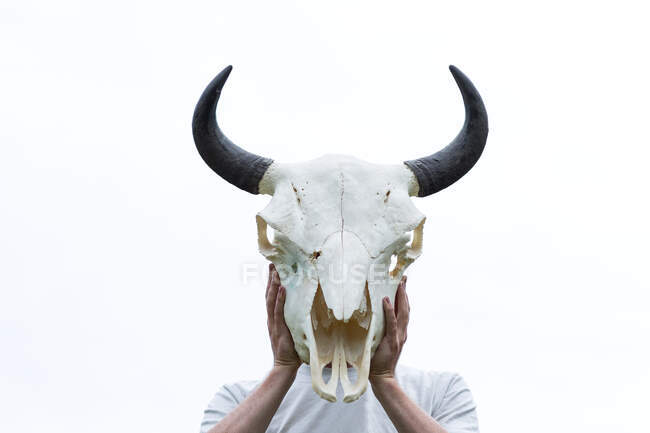 Hombre sosteniendo un cráneo de bisonte delante de su cabeza - foto de stock