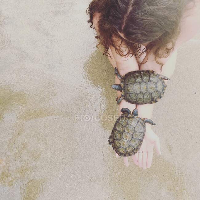Frau kniet am Strand und hält zwei Meeresschildkröten, Orange County, Kalifornien, Amerika, USA — Stockfoto