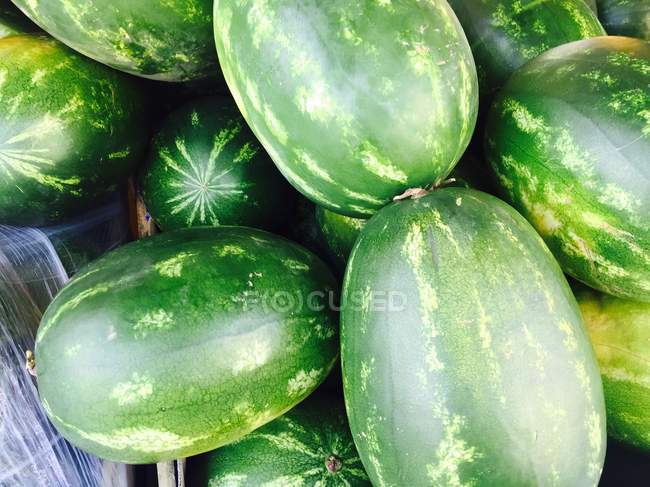 Nahaufnahme von reifen grünen Wassermelonen — Stockfoto