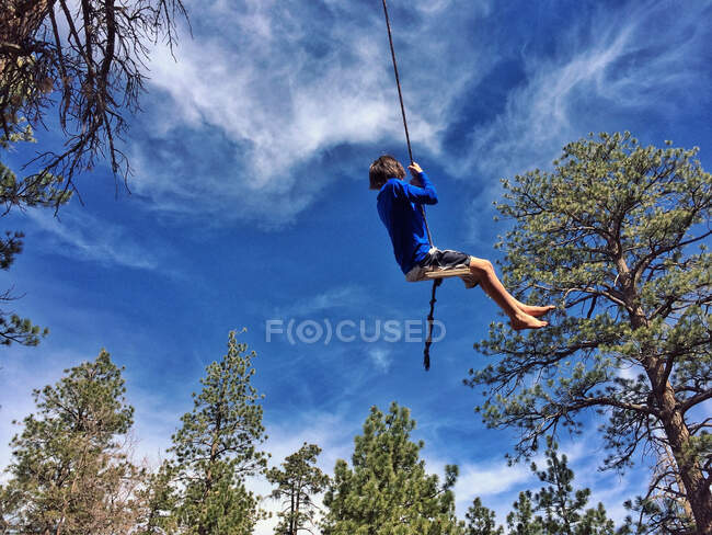 Ragazzo che oscilla su un'altalena di corda, California, America, Stati Uniti — Foto stock