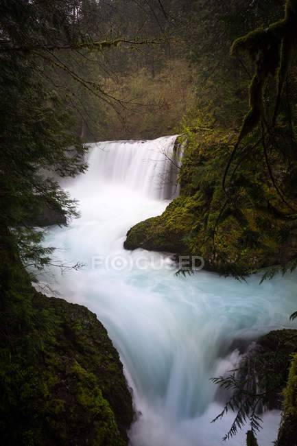 Spirit Falls no Rio Salmão Branco, Washington, América, EUA — Fotografia de Stock