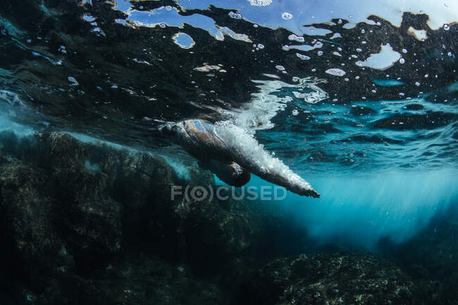 Man diving into the ocean, Kalapana, West Puna, Hawaii, America, USA — Stock Photo