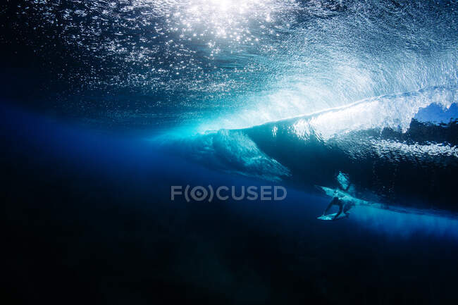 Человек, плавающий под водой над мелким рифом, Калапана, Западная Пуна, Гавайи, Америка, США — стоковое фото