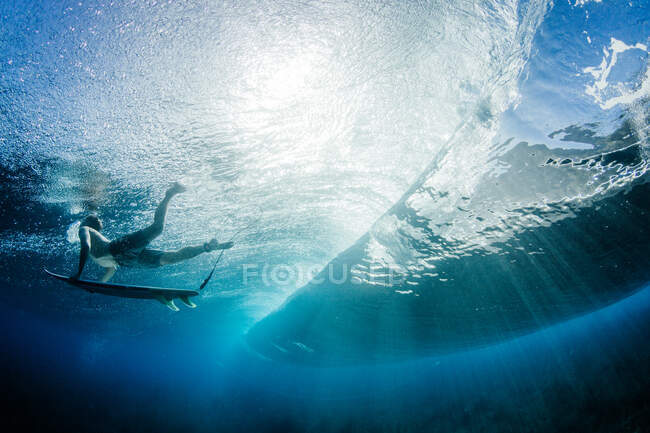 Man swimming underwater over a shallow reef, Kalapana, West Puna, Hawai-i, America, USA — Fotografia de Stock