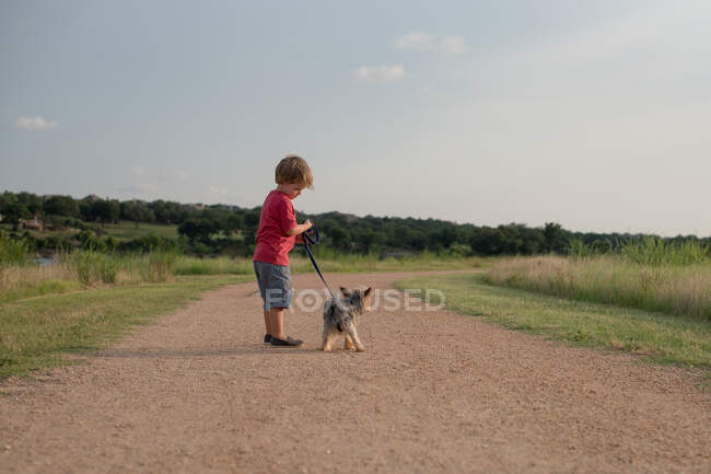 Ragazzo che porta a spasso il suo cucciolo di cane yorkie, Texas, America, USA — Foto stock