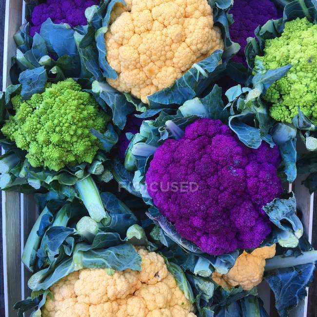 Multi-colored cauliflowers in wooden box, closeup view — Stock Photo