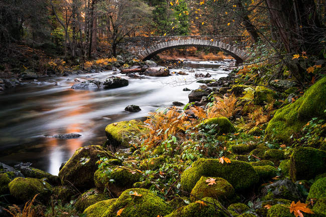 Río que fluye bajo el puente Pohono, Parque Nacional Yosemite, California, Estados Unidos - foto de stock