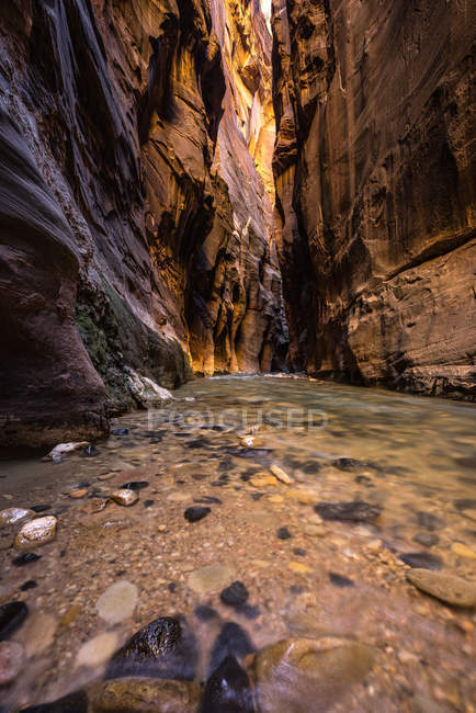 Scenic view of Wall street section in The Narrows, Zion National Park, Utah, America, USA — Stock Photo