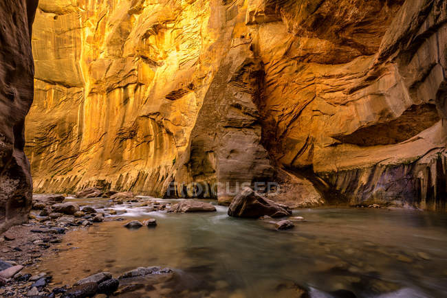 Scenic view of The Narrows, Zion National Park, Utah, America, USA — Stock Photo