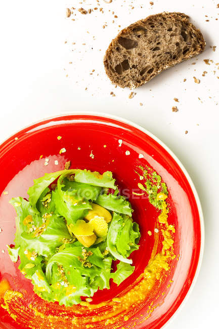 Salada verde com uma fatia de pão, vista superior — Fotografia de Stock