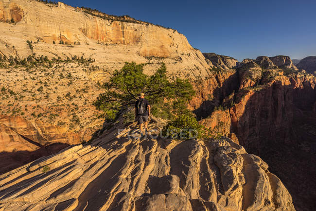 Man hiking on Angel 's Landing Trail, Utah, America, USA — стоковое фото