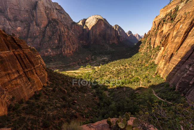 Scenic view of Zion Canyon from West Rim Trail, Zion National Park, Utah, America, USA — Stock Photo