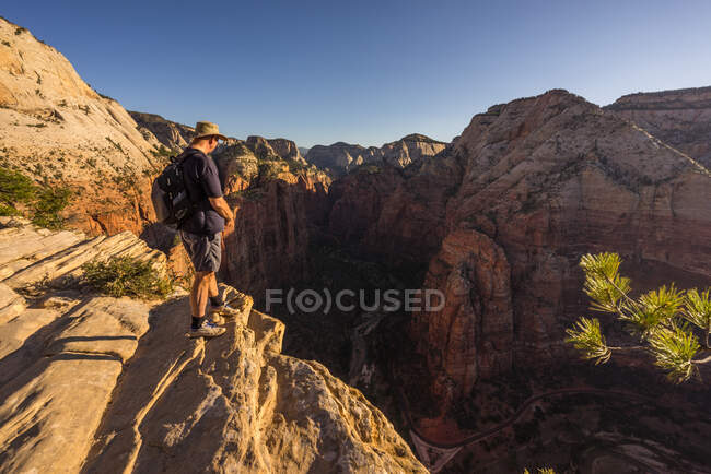 Randonneur regardant le canyon de Zion, parc national de Zion, Utah, Amérique, USA — Photo de stock