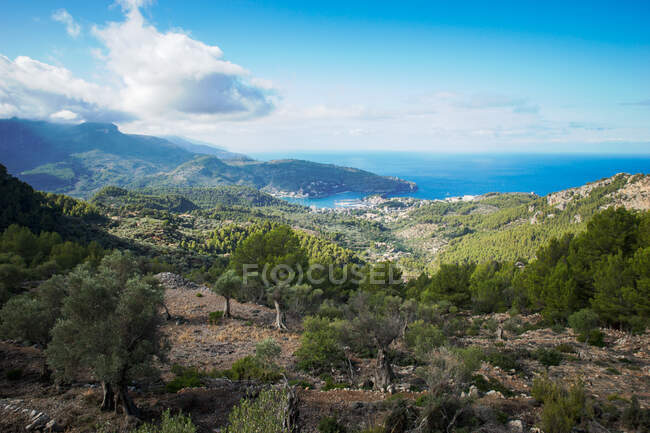 Vista elevada de colinas verdes exuberantes costeiras e mar — Fotografia de Stock