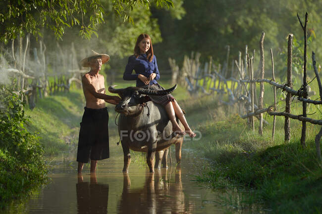 Granjero y búfalo encendido durante la puesta del sol, tailandia - foto de stock