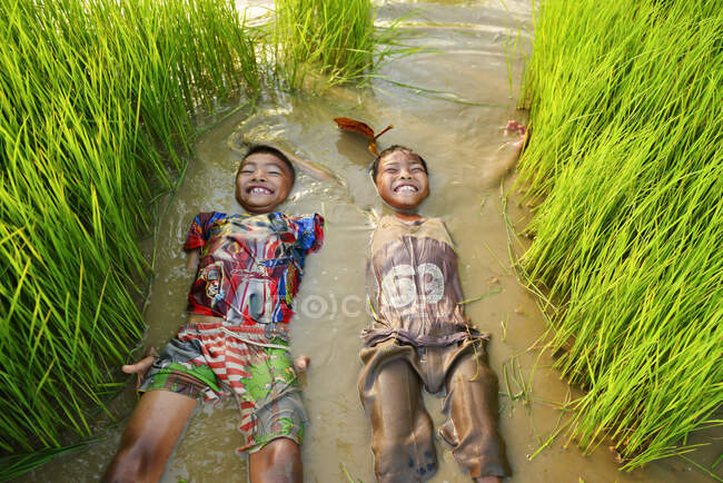 Agricultor e arroz paddy — Fotografia de Stock