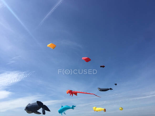 Vista panorámica de los kites que vuelan en el cielo, Fanoe, Dinamarca. - foto de stock