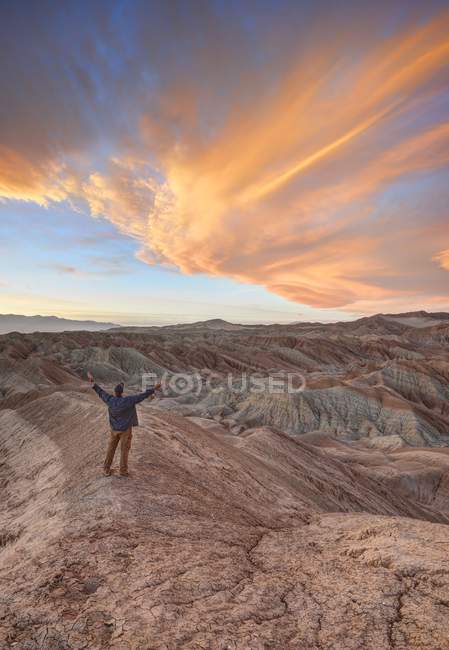 Hombre con los brazos extendidos, Anza-Borrego Desert State Park, California, América, EE.UU. - foto de stock