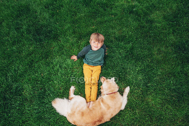 Над головою дивиться на хлопчика, що лежить на траві, граючись зі своїм золотим собакою - ретриверистом. — стокове фото