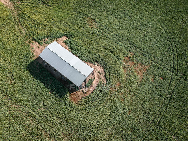 Vista aérea de um celeiro em um campo de canola, Victoria, Austrália — Fotografia de Stock