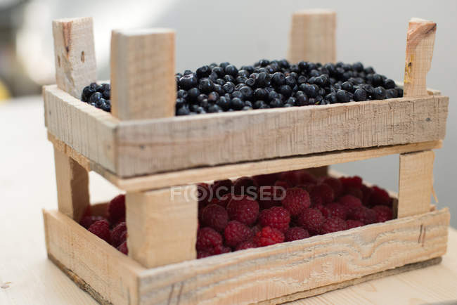 Crates of fresh raspberries and blueberries, selective focus — Stock Photo