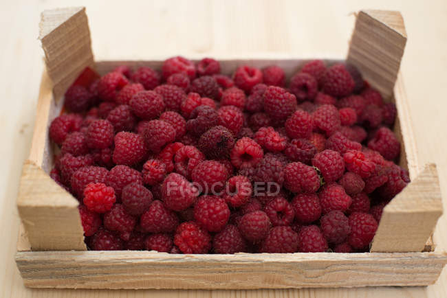 Closeup view of Crate of raspberries over white background — Stock Photo