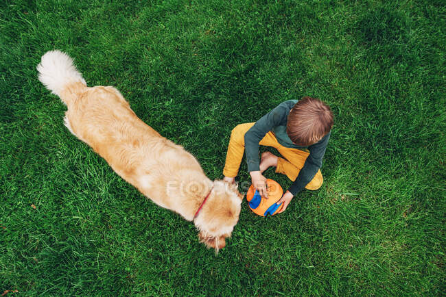 Vista aérea de un niño sentado en la hierba con una pelota jugando con su perro recuperador de oro - foto de stock