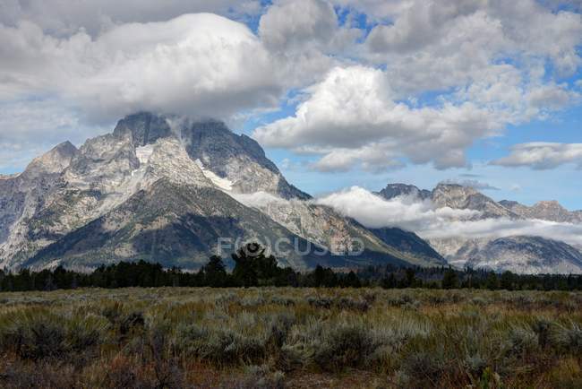 Vista panorámica del Monte Moran, Parque Nacional Grand Teton, Wyoming, América, EE.UU. - foto de stock